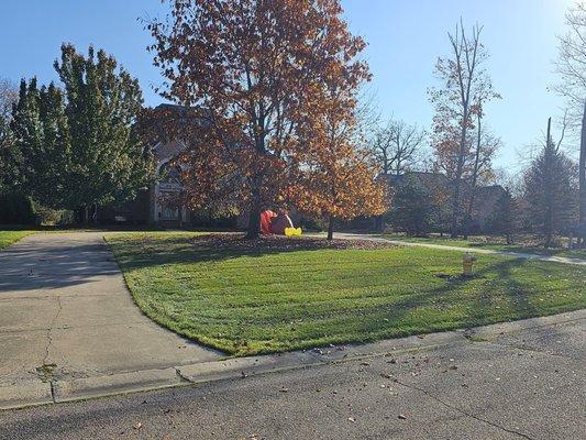 Fall cleanup season