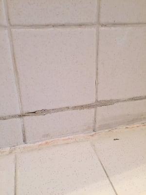 Failing grout in a shower