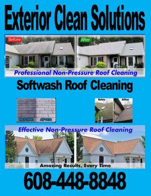 Low-pressure Roof Cleaning
 Black streaks
 Softwash Roof Cleaning
 Roof Washing