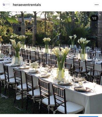 Chiavary chairs, linens, charger plates, napkins, everything what you need for your next event