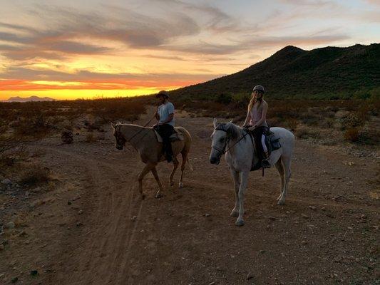 Horses and sunset