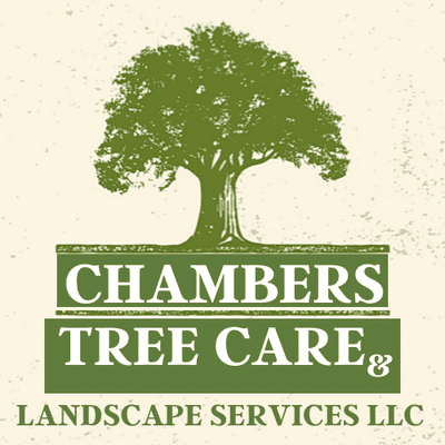 Chambers Tree Care & Landscape Services