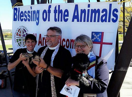 Blessing of the Animals 2017