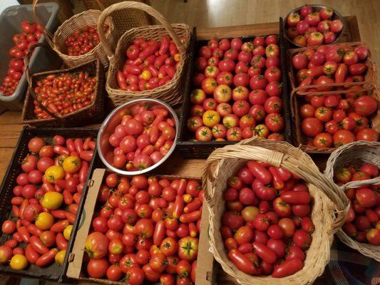 The Mason Jar Farm