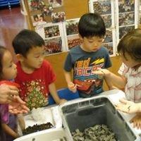 Oooh, visiting ocean creatures in our classroom today!