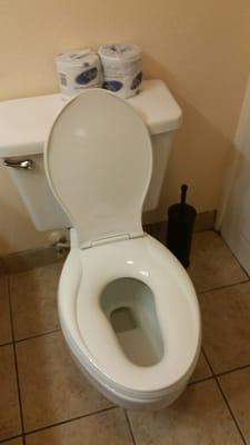 You don't have to travel with a little potty if you have young children. Kohler toilet seat accomodates children and adults