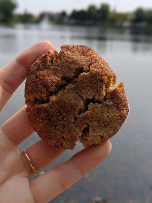 Snickerdoodle cookie