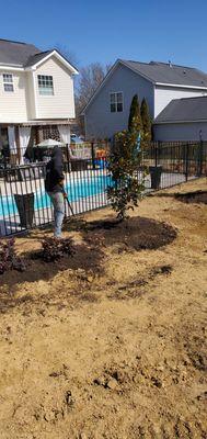 Landscaping around pool