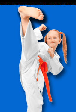 Miami Martial Arts System at Tamiami