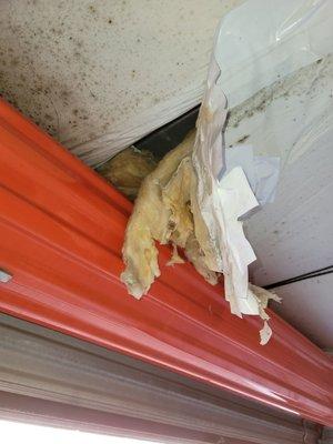 Bad wet insulation and modew