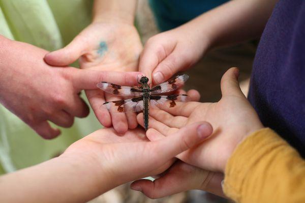 Hands-on nature!