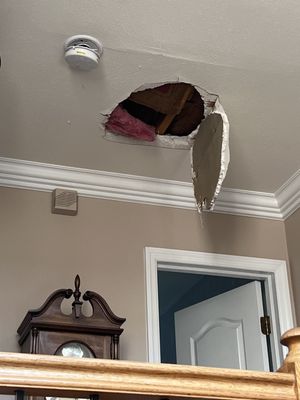 What ceiling looked like before repair