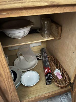 The other half of the cabinet with supplies they provide. If you zoom in there's black little specks or pellets on the base.