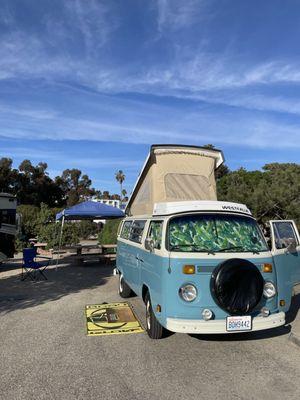 1974 Westfalia