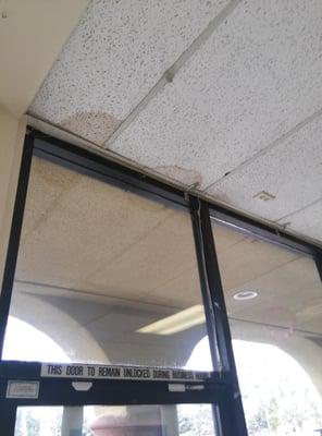 The waiting room ceiling tiles. You can't see the cobwebs in the pictures so be careful where you sit.