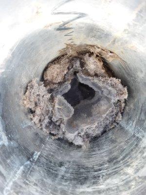 Clean your dryer vent Regularly!