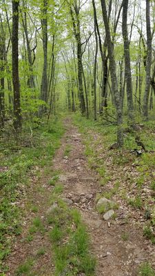 Some areas are rocky, others will be very wet and muddy after a rain. The trail is easy, just watch your step.