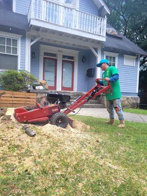 Using a small tree grinder where the pick machine could not get there.