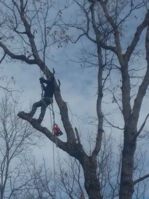 Climbing rigging over house power lines