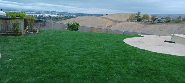 Sod Installation