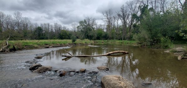 Granville Dog Park