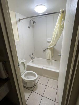 Mold around the bottom and top of the tub/shower. The toilet wasn't securely mounted. Holes in the tile and broken tile in the shower