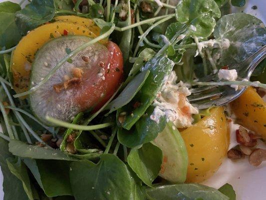 Tomato and peaches, ricotta cheese topped with watercress macadamia nut