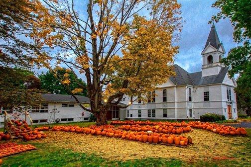 Selling Pumpkins! Pumpkins! Pumpkins! for those in need