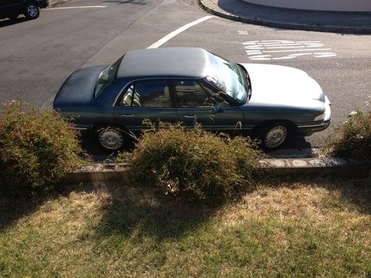 1997 Buick LeSabre 130k miles, one original owner and purrs like a kitty!!! Meowwwww......