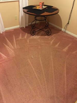 Carpet was cleaned on the spot.