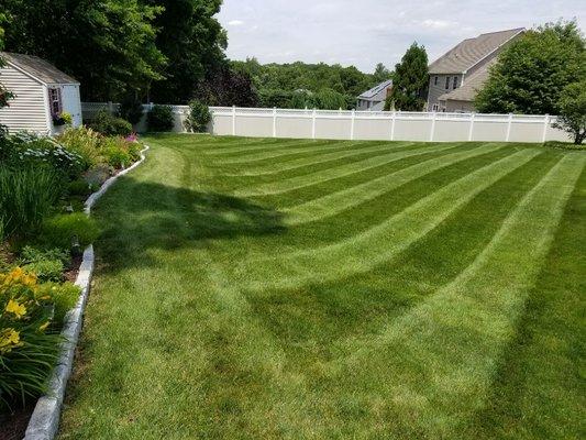 We percision stripe all of our lawns to give them a ball field or golf course look.