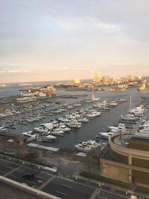 Overhead view of the marina