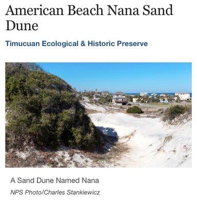 "Nana" Dune System