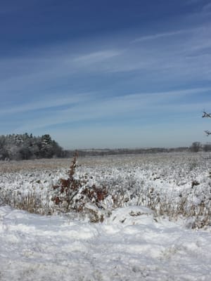 Town Of Wayland -- Sudbury River, off Route 20 / Boston Post Road, Wayland