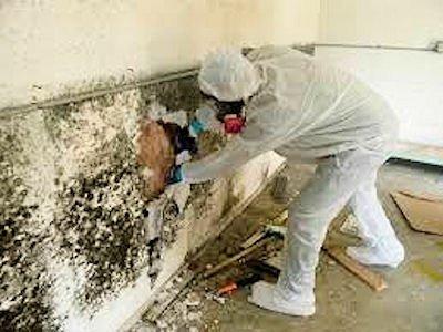 Mold removal St Louis