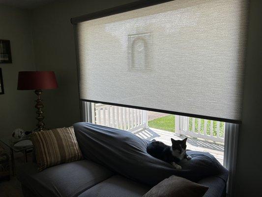 Quality Blinds