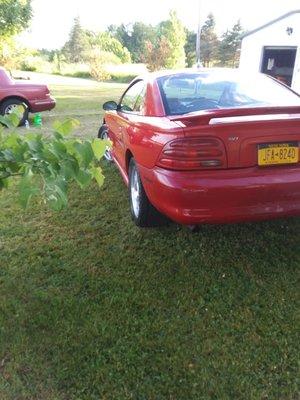 My 95 cobra (new glass now) my front yard 2019 with my 97 cougar background.