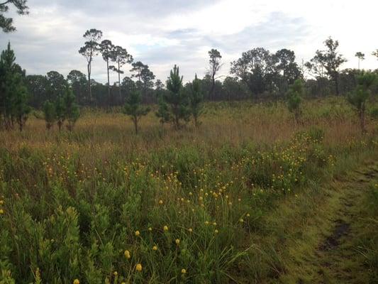 Near the trailhead.