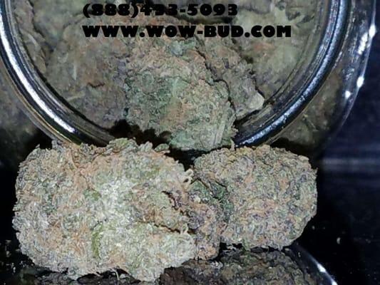 Thin Mint GIrl Scout Cookies