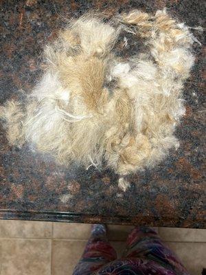 This much hair with poop in it came off!