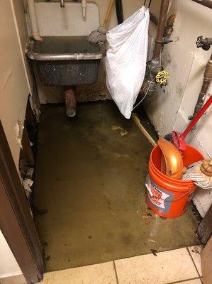 Leaking utility room, stagnant water and floating feces