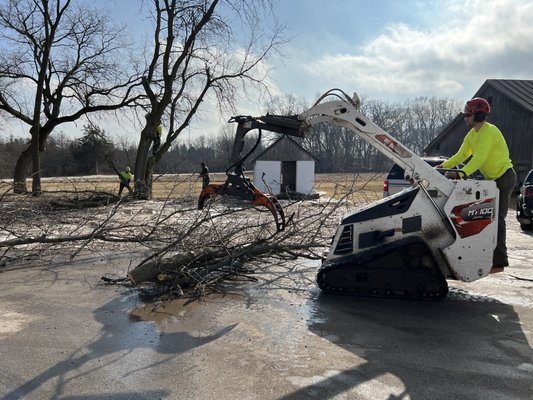 Red Pine Tree and Landscaping Services 