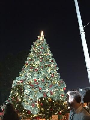 Tree lighting 12/3/15