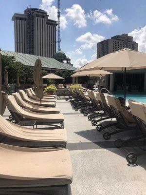 Lounge chairs by the pool