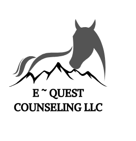 E Quest Counseling