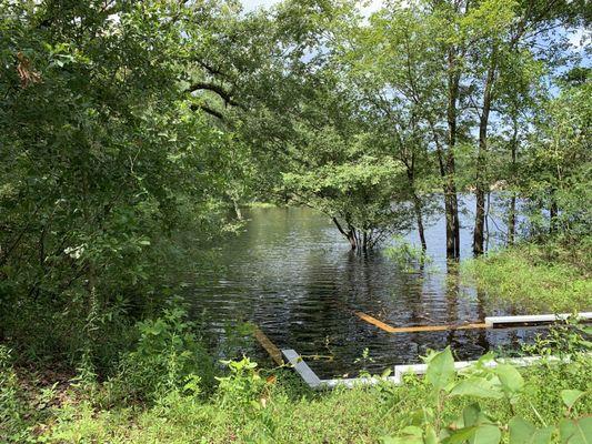 Save yourself a trip flooded Also little river springs Fanning Springs