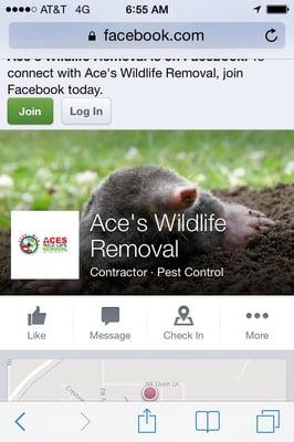 Aces Wildlife Removal