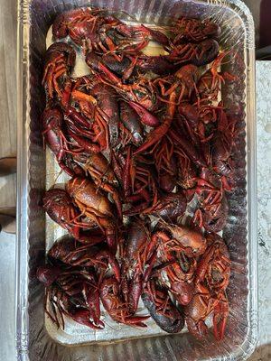 Crawfish