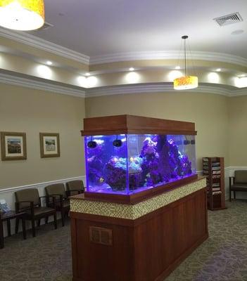 Waiting room and Fish Tank