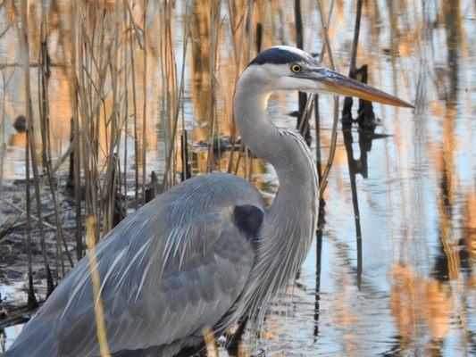 Nature Photography